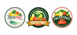 © Grind - fresh fruit logo template design