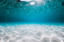 Turquoise Ocean With Sand Underwater In Florida. Ocean Background