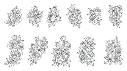 Poster - Set of rose ornament vector by hand drawing.Beautiful flower on white background.Sunset memory rose vector art highly detailed in line art style.Flower tattoo for paint or pattern.