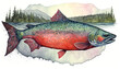 Sockeye Salmon and Spruce Trees Alaskan art for Postcards and Prints in Watercolor Style. An illustration created with Generative AI artificial intelligence technology
