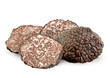 Black summer truffle or Cut fresh black truffle isolated. PNG transparency