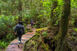 © Cavan Images - Two people hiking in forest, Tofino, British Columbia, Canada