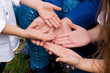 © Studio Eli - Close up of people showing hands. Adult's and children's hands together.
