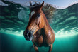 Close up of brown horse swimming underwater view. Generative AI illustration.