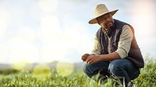 Farmer, black man and mockup for agriculture and sustainability outdoor on an agro farm with bokeh. Person on grass field thinking about farming innovation, growth and ecology in the countryside