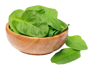 Sticker - Fresh Spinach