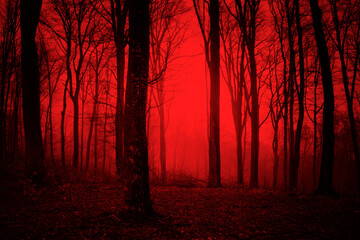 Wall Mural - dark scary forest at night, surreal horror woods