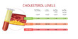 Infographic of cholesterol levels, optimal low, and very high With image of artery and cholesterol deposited in it. Vector Eps 10