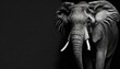 Leinwandbild Motiv  a black and white photo of an elephant with tusks and tusks on it's ears and tusks, with a black background.  generative ai