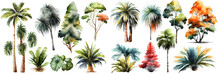 Watercolor Tropical Trees Set. Palm Tree In Green Color Isolated On White Background. Vintage Coconut And Banana Trees. Floral Tropical Jungle. Generative Ai.