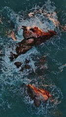 Wall Mural - Aerial top view of waves and rocks in the sea. Vertical video