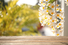 White Wild Orchid Plant Flower Close Up With Wooden Table Surface