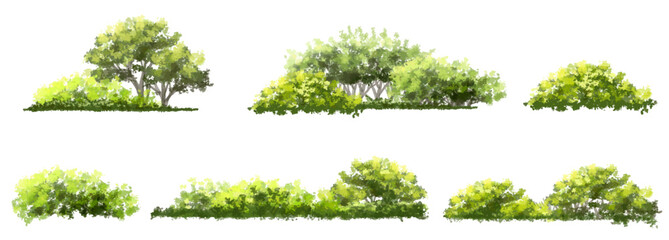 vector watercolor of green tree side view isolated on white background for landscape and architectur