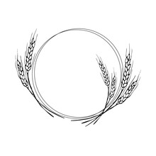  Wreath Frame From Ears Of Wheat.A Bunch Of Ears Of Wheat,dried Whole Grains.Cereal Harvest,agriculture,organic Farming,healthy Food Symbol.Ears Of Wheat Hand Drawn.Design Element. Isolated Background
