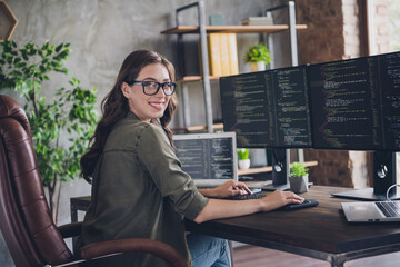 Wall Mural - photo of smiling lady specialist computer sphere working home write site research program server ope