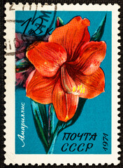 Wall Mural - USSR-CIRCA 1971: A post stamp printed in USSR and shows exotic window plant flower amarillis,series.