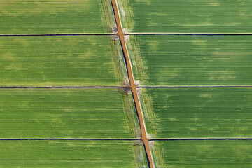 Aerial shot of the giometric shapes of the fields .