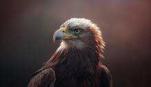  A Close Up Of A Bird Of Prey With A Blurry Back Ground And A Black Background With A Red And White Bird Of Prey.  Generative Ai