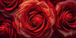 Rote Rosen Blüten - mit KI erstellt 