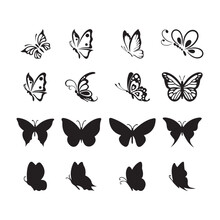 Set Of Beautiful Butterflies Silhouettes