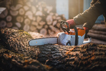 Cordless Chainsaw. Close-up Of Woodcutter Sawing Chain Saw In Motion, Sawdust Fly To Sides. Chainsaw In Motion. Hard Wood Working In Forest. Sawdust Fly Around. Firewood Processing.