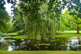 Fototapeta Na ścianę - Summer park with dense vegetation with trees, a lake and a lawn.
