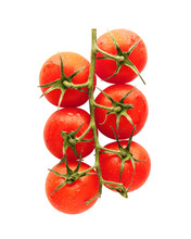 Branch Of Fresh Cherry Tomatoes On Isolated Transparent Background