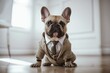 Portrait of a French bulldog dog dressed in a formal business suit, generative ai	