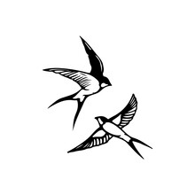 Vector Illustration Of Two Swallows