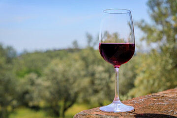 Poster - A glass of red Chianti wine at a vineyard in the famous Tuscany region of Italy