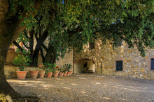 Ivy Covered Old Stone House At A Vineyard In The Famous Wine Producing Chianti Region Of Tuscany, Italy