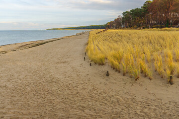 Wall Mural - Strand und Düne an Ostsee in Lubmin