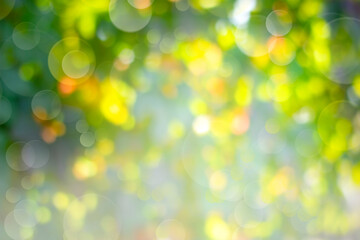Wall Mural - abstract spring blurred background with bokeh