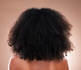 Natural hair, black woman with afro and beauty, haircare and cosmetics with back on studio background. Female, cosmetic treatment with curly hairstyle, rear view and texture with hygiene and grooming