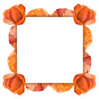 © Elena - Watercolor square frame composition with hand drawn summer bright red poppy flowers. Isolated on white background. Design for invitations, wedding, love or greeting cards, paper, print, textile