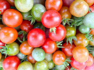 Canvas Print - Tomatos