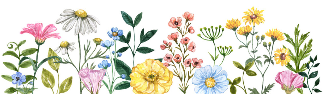 floral border. the watercolor illustration features assorted wildflowers, grass, and greenery—a colo