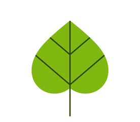 Wall Mural - Green leaf icon. Tilia leaf flat design illustration.