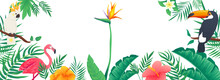 Tropical Horizontal Web Banner. Jungle Plants, Leaves Of Palm Tree, Monstera, Banana, Flowers, Toucan, Flamingo And Parrot. Illustration For Header Website, Cover Templates In Modern Design
