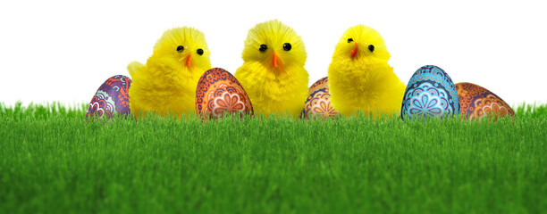 Wall Mural - three cute easter decoration chicks and colorful eggs in natural green spring grass lawn isolated