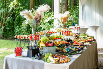 catering buffet table with snacks and appetizers. Set of varios fruits and berries. Decorative vase