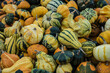 ornamental pumpkins on the market near a farmer's shop on the island of Goeree Overflakkee