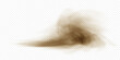 Brown dusty cloud or dry sand flying with a gust of wind. Sandstorm realistic texture with small particles or grains of sand. Vector realistic illustration
