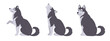 Cartoon husky. Domestic husky puppy, cute playing, sitting and howling huskies flat vector illustration set