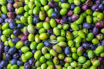 Wall Mural - Green and black olives with leaves texture background