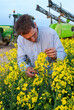 © S. Leitenberger - Traitement insecticide sur colza contre le charancon. Agriculteur observant la présence charançon dans le colza. Pulvérisateur en arrière-plan