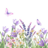 Fototapeta Motyle - Watercolor composition, border with Herbs and wild flowers, leaves, butterflies. Botanical Illustration on white background. Template with place for text