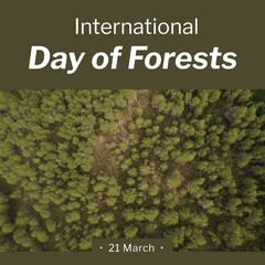 Wall Mural - Composition of international day of forests text and trees