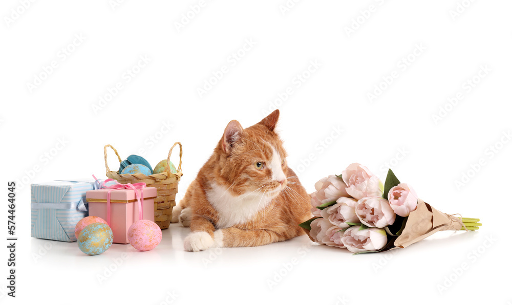 Cute cat with gifts, Easter eggs and tulips on white background