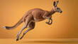Kangaroo Showtime: The Great Jumping Performance